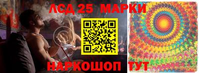стаф Берёзовский