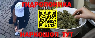 стаф Берёзовский