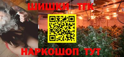 индика Бийск