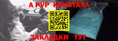 индика Бийск