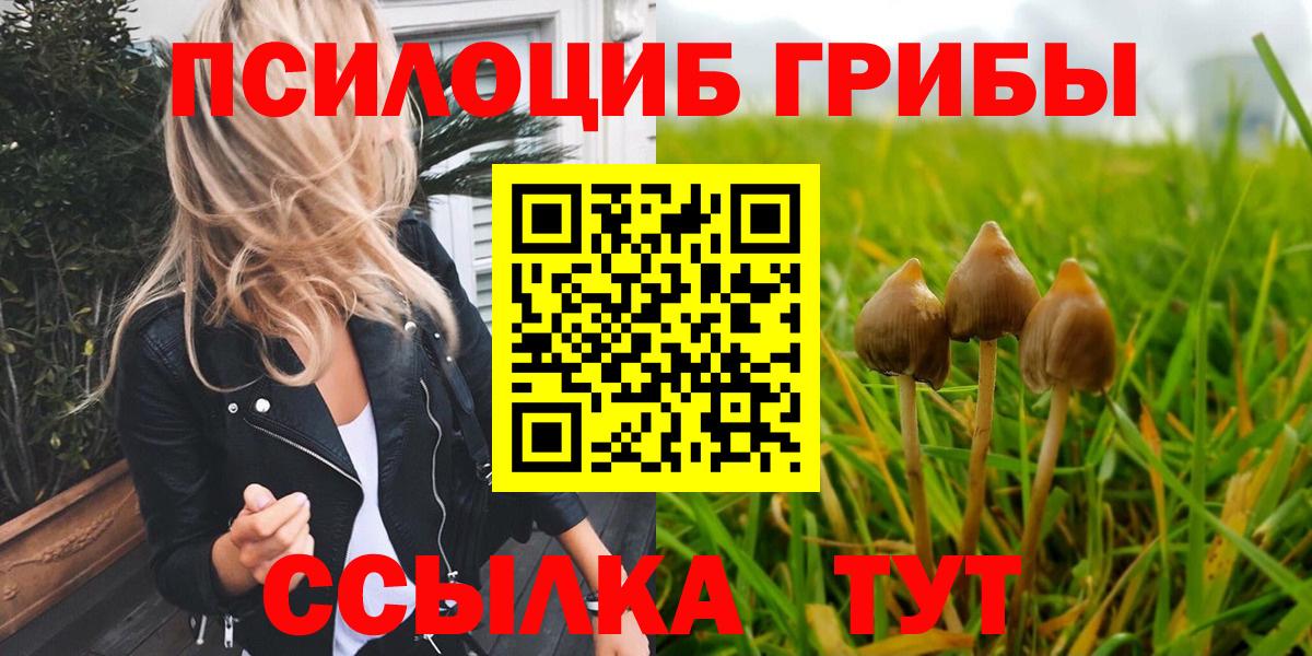 Псилоцибиновые грибы Cubensis  Галлюциногенные грибы мицелий  Вход с VPN  Россия 