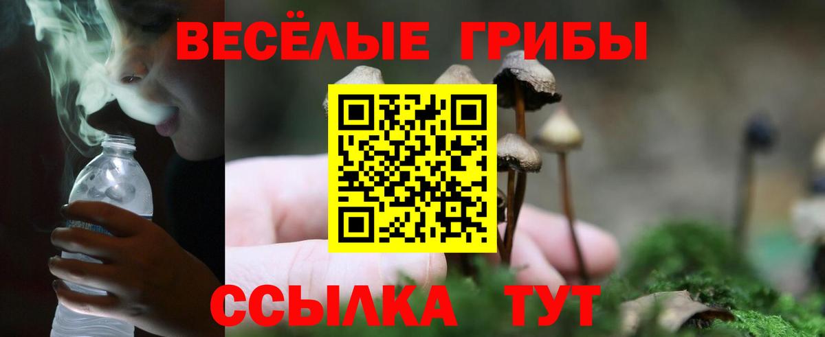 Галлюциногенные грибы GOLDEN TEACHER Россия